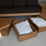 AK Sleeper Sofa
