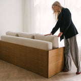 AK Sleeper Sofa