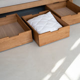 AK Sleeper Sofa