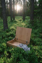 THE BOX