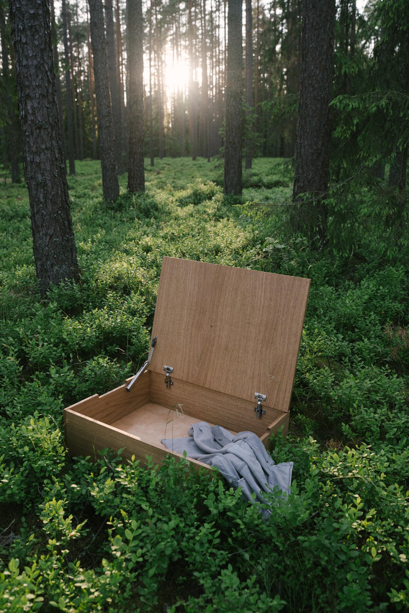 THE BOX