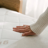 AK Sleeper Sofa
