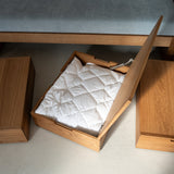 AK Sleeper Sofa