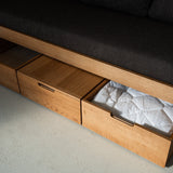 AK Sleeper Sofa