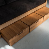 AK Sleeper Sofa