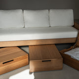 AK Sleeper Sofa