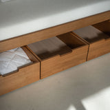 AK Sleeper Sofa