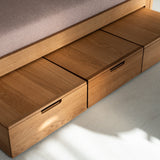 AK Sleeper Sofa