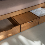 AK Sleeper Sofa