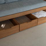 AK Sleeper Sofa