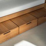 AK Sleeper Sofa
