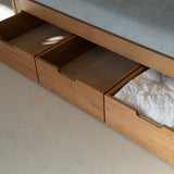 AK Sleeper Sofa