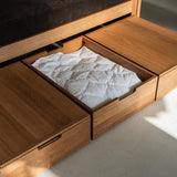 AK Sleeper Sofa