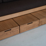 AK Sleeper Sofa