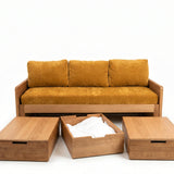 AK Sleeper Sofa (Copy)