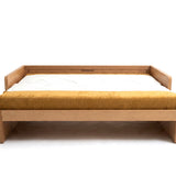 AK Sleeper Sofa (Copy)