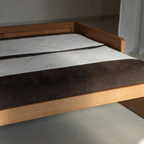 AK Sleeper Sofa