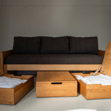 AK Sleeper Sofa
