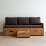 AK Sleeper Sofa