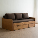 AK Sleeper Sofa