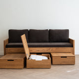 AK Sleeper Sofa