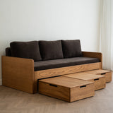 AK Sleeper Sofa