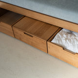 AK Sleeper Sofa