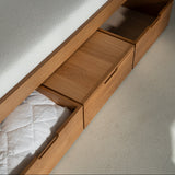 AK Sleeper Sofa