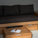 AK Sleeper Sofa
