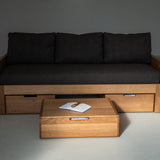 AK Sleeper Sofa