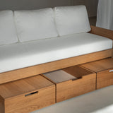AK Sleeper Sofa