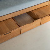AK Sleeper Sofa