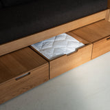 AK Sleeper Sofa