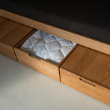 AK Sleeper Sofa