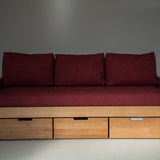 AK Sleeper Sofa