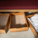 AK Sleeper Sofa