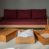 AK Sleeper Sofa