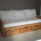 AK Sleeper Sofa