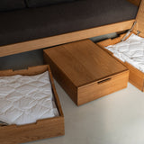 AK Sleeper Sofa