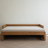 AK Sleeper Sofa