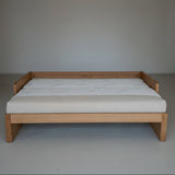 AK Sleeper Sofa