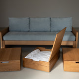 AK Sleeper Sofa