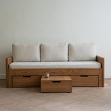 AK Sleeper Sofa