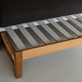 AK Sleeper Sofa