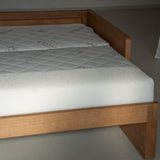 AK Sleeper Sofa