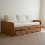 AK Sleeper Sofa