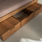 AK Sleeper Sofa