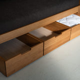 AK Sleeper Sofa