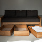 AK Sleeper Sofa