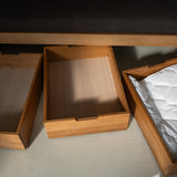 AK Sleeper Sofa